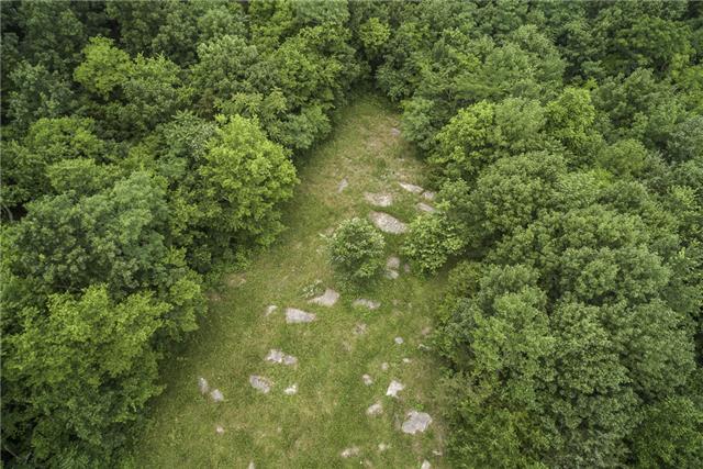 0 Arnold Road Christiana, TN 37037 - Photo 15 of 17 Gallery Image 15