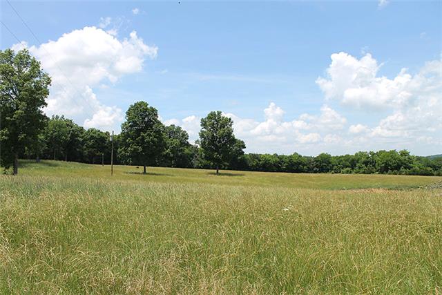 0 Arnold Road Christiana, TN 37037 - Photo 2 of 17 Gallery Image 2