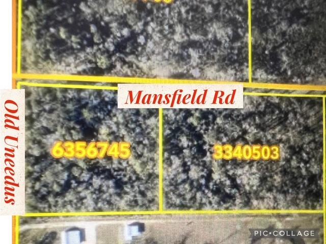 Tbd Old Uneedus Road Folsom, LA 70437 - Photo 1 of 1 Gallery Image 1