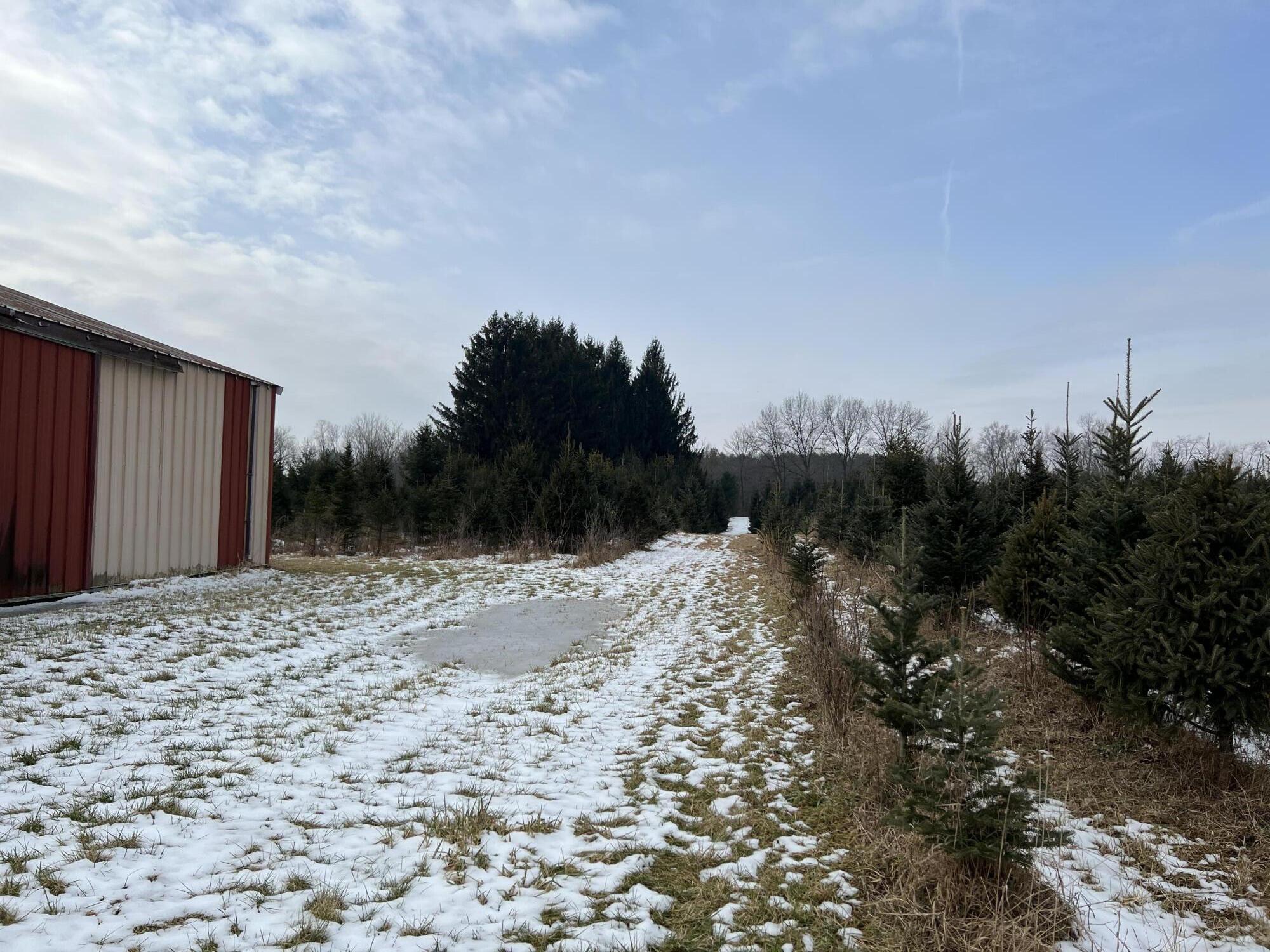 1260 Dimmers Road Reading, MI 49274 - Photo 11 of 16 0BB702AE-E495-4F14-8011-067D09DBB09A