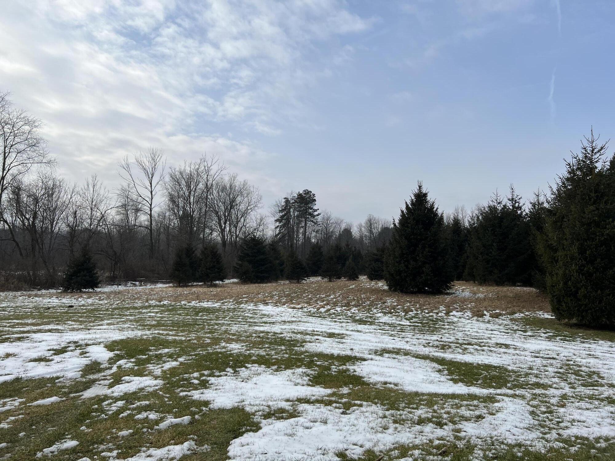 1260 Dimmers Road Reading, MI 49274 - Photo 14 of 16 5D8B0CBA-3086-449F-99DB-62364A93795D