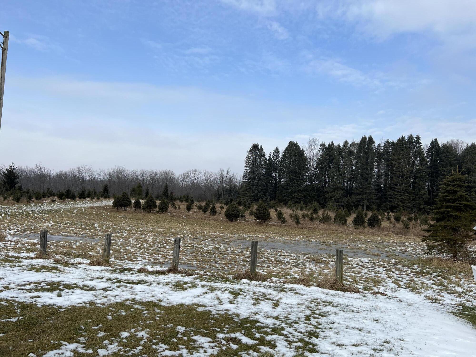 1260 Dimmers Road Reading, MI 49274 - Photo 7 of 16 C4DB5C1F-1004-40DD-AEDF-A905AC01708B