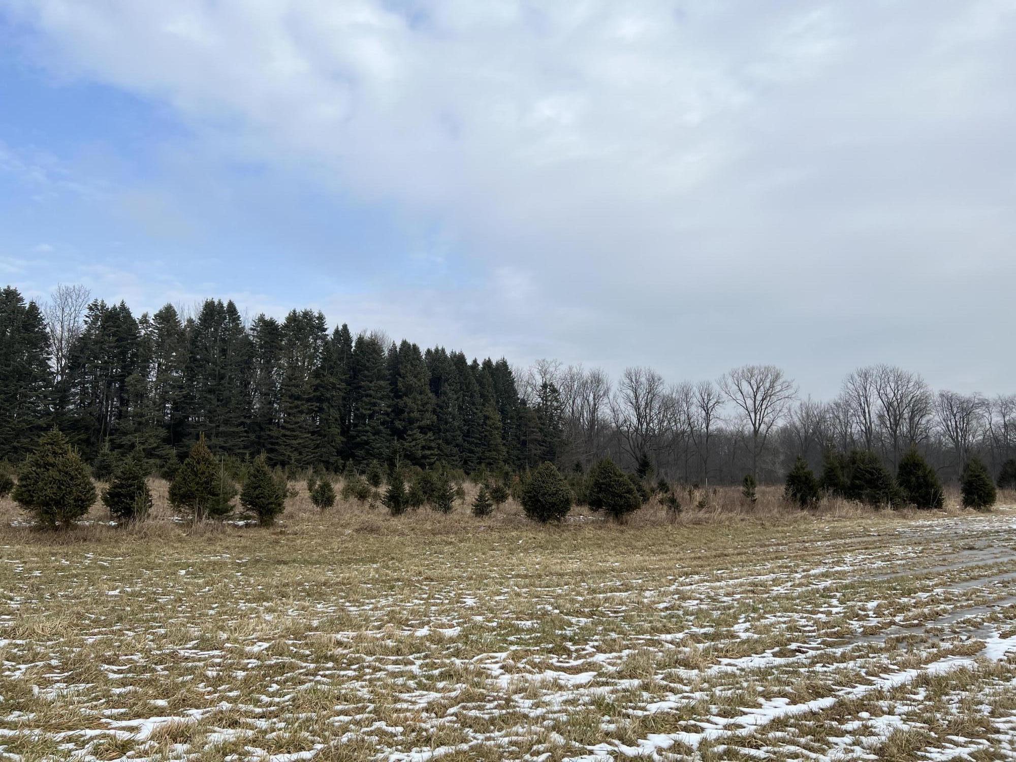 1260 Dimmers Road Reading, MI 49274 - Photo 8 of 16 CC47AB11-C446-43BA-9FFD-9999875A8865