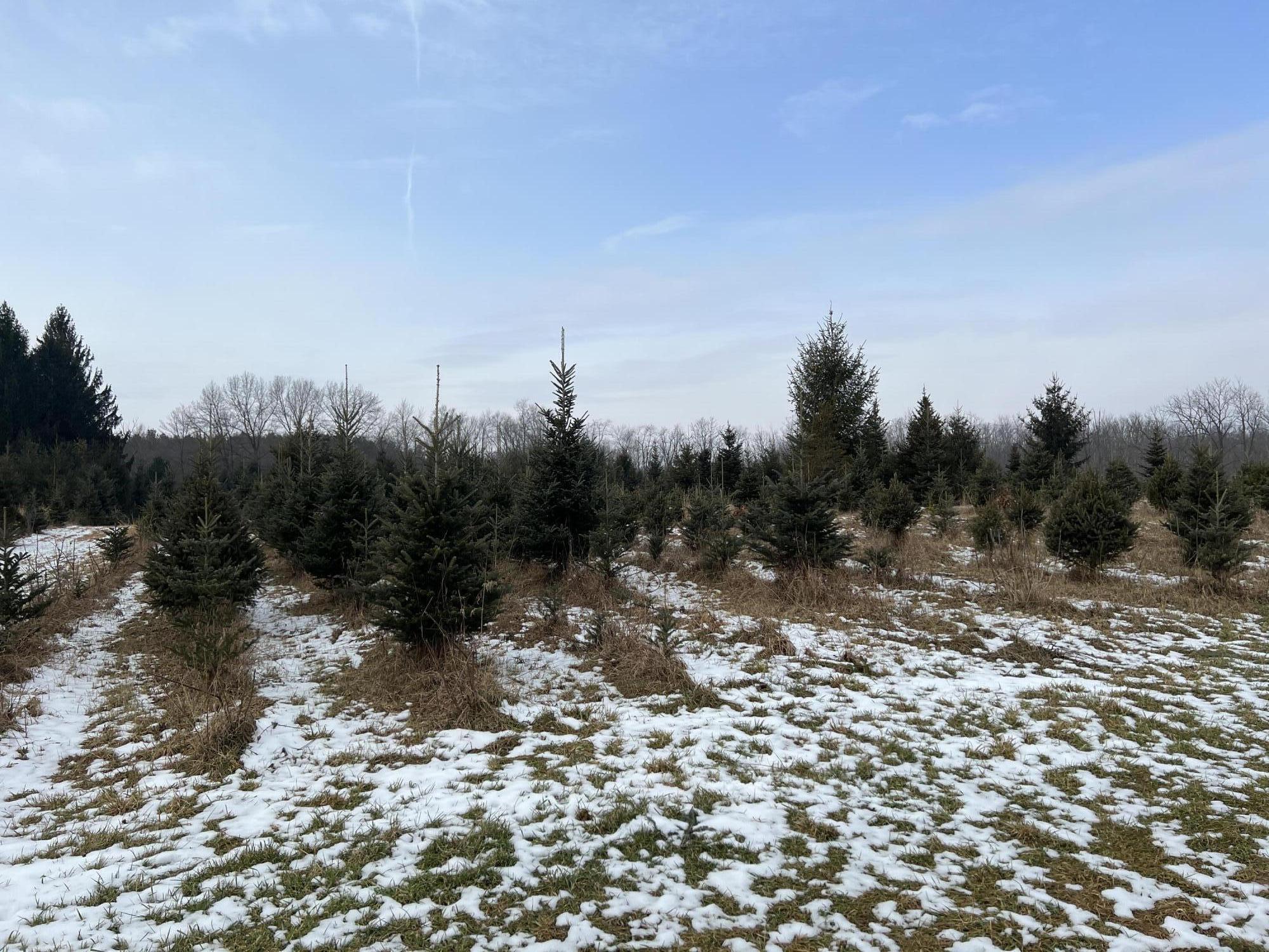 1260 Dimmers Road Reading, MI 49274 - Photo 9 of 16 9459617E-037E-43DE-B9A3-6C806F173072