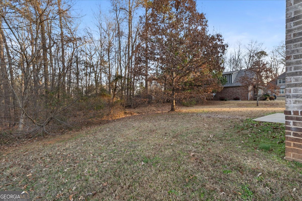 149 Mariahs Walk Hampton, GA 30228 - Photo 43 of 45 a view of a yard with a tree