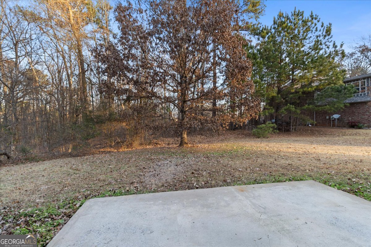 149 Mariahs Walk Hampton, GA 30228 - Photo 45 of 45