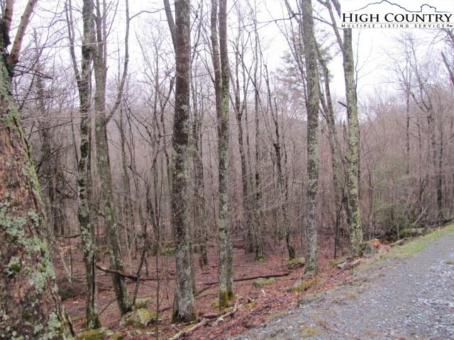 111 Lower Grouse Ridge Road Beech Mountain, NC 28604 - Photo 3 of 7 Gallery Image 3