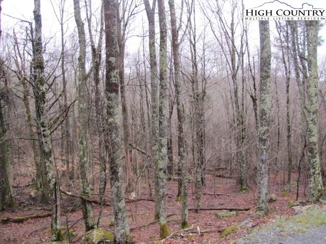 111 Lower Grouse Ridge Road Beech Mountain, NC 28604 - Photo 4 of 7 Gallery Image 4