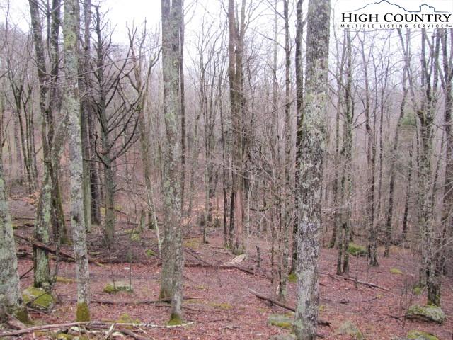 111 Lower Grouse Ridge Road Beech Mountain, NC 28604 - Photo 5 of 7 Gallery Image 5