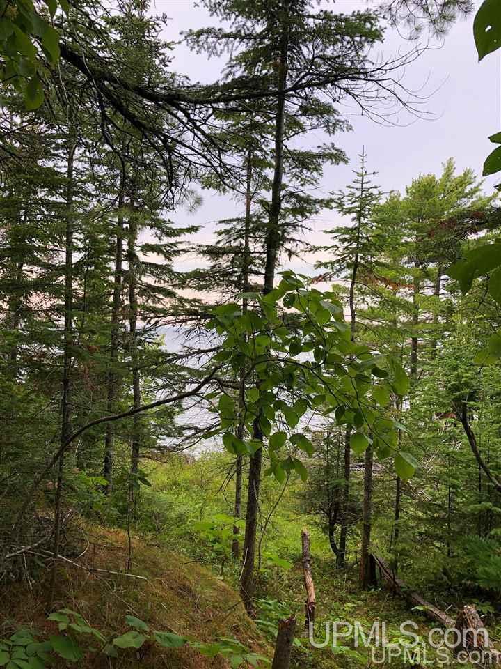 Tbd Goodell Road, Unit LOT 3 Mohawk, MI 49950 - Photo 14 of 20