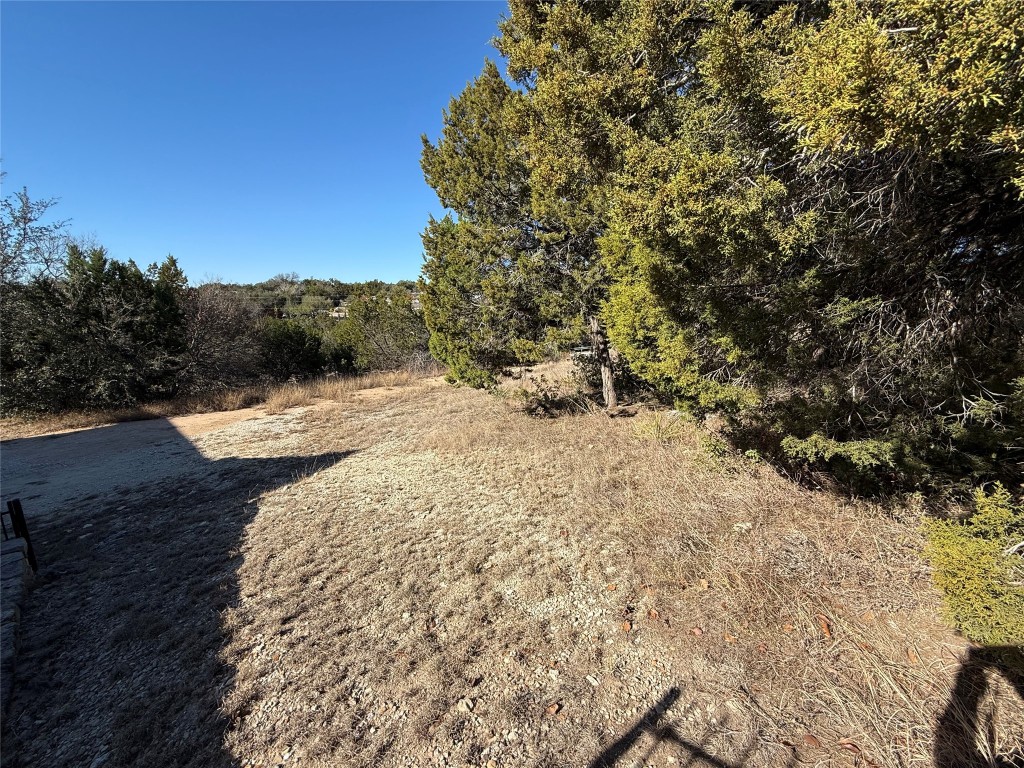 a view of a dry yard with trees