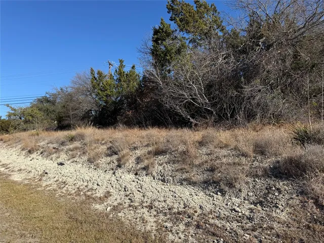 a view of a yard with a tree