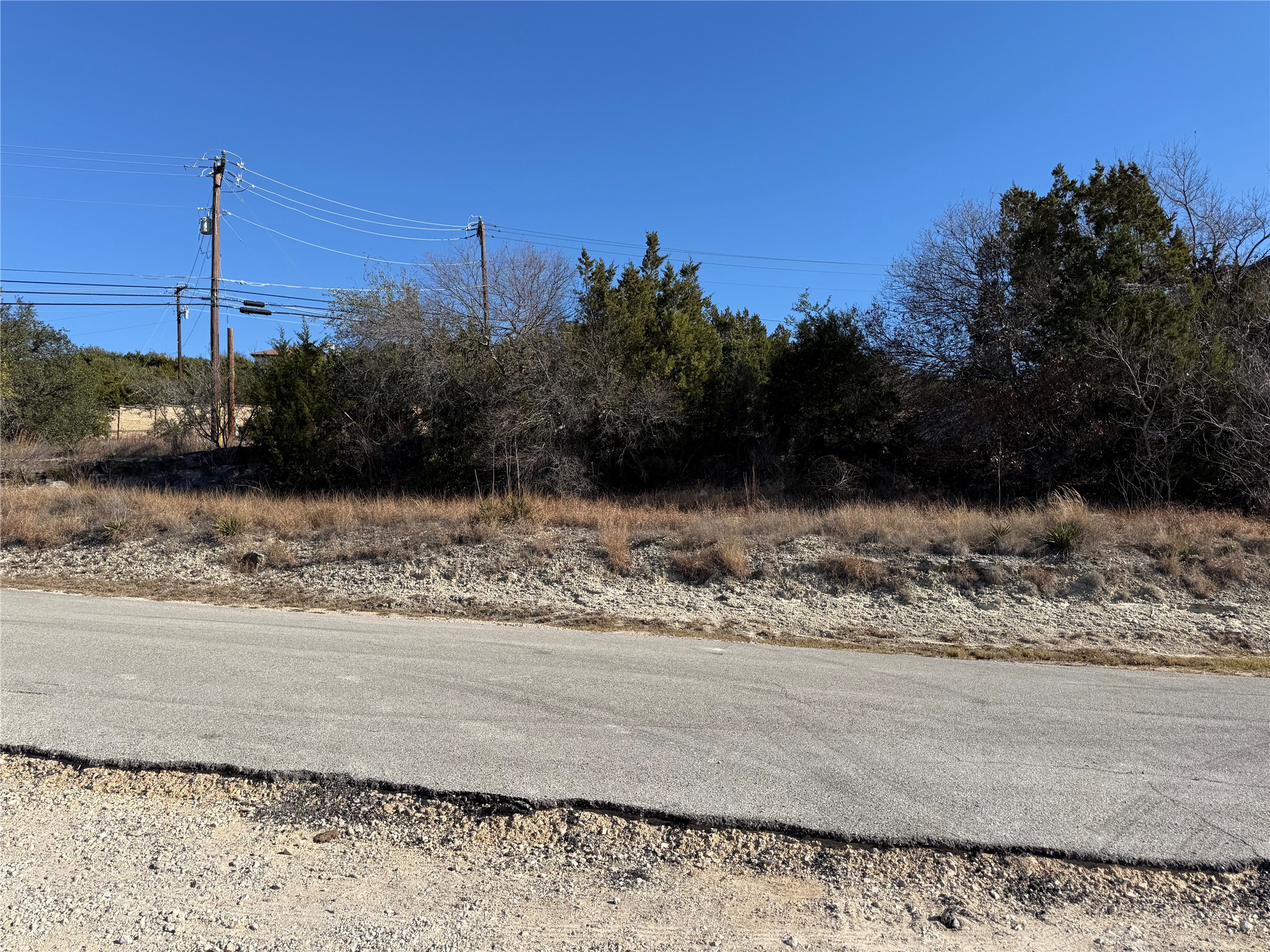 14410 Geronimo Street Leander, TX 78641 - Photo 12 of 14 a view of a yard with a tree