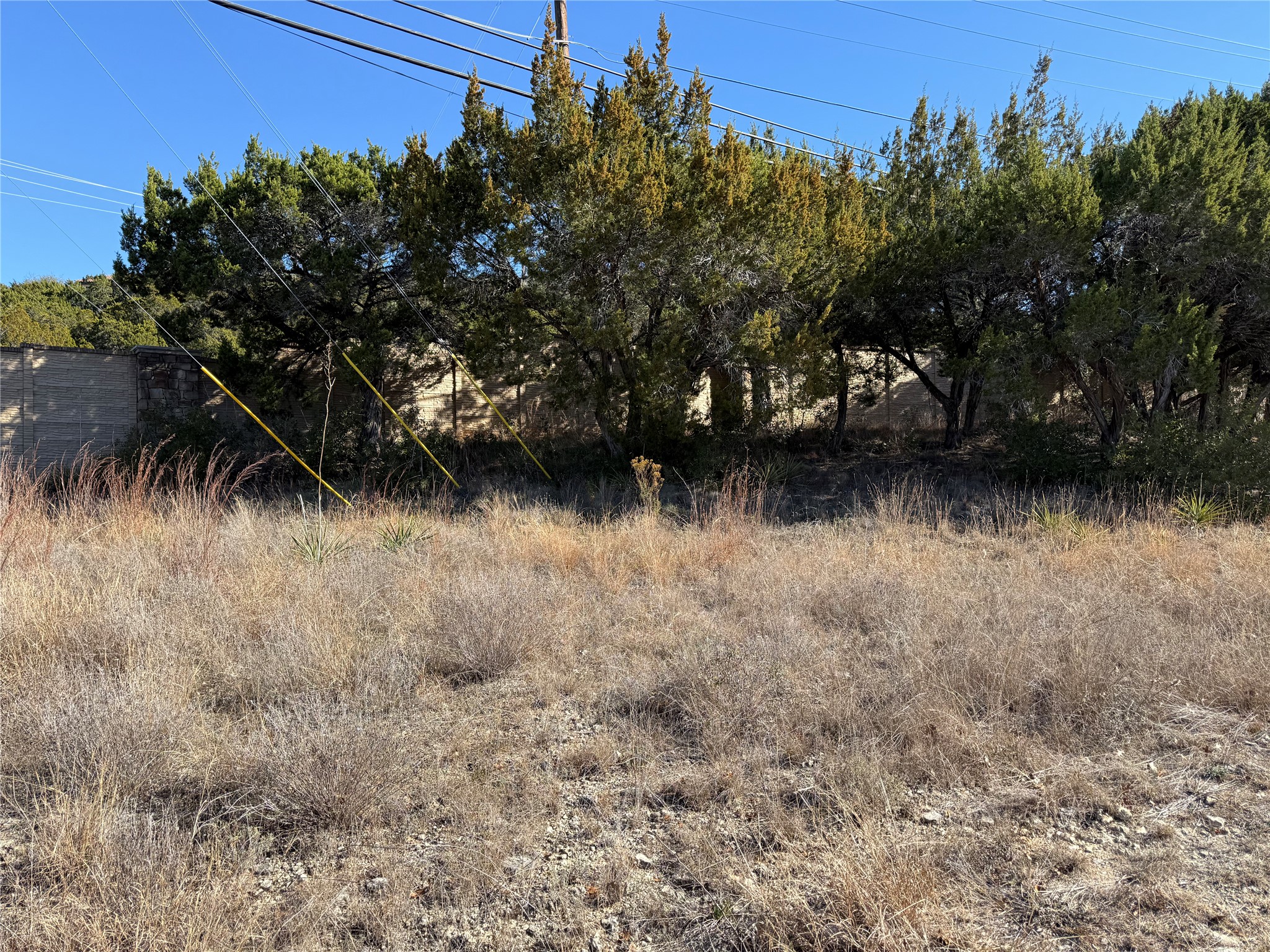 14410 Geronimo Street Leander, TX 78641 - Photo 5 of 14 a view of outdoor space and yard