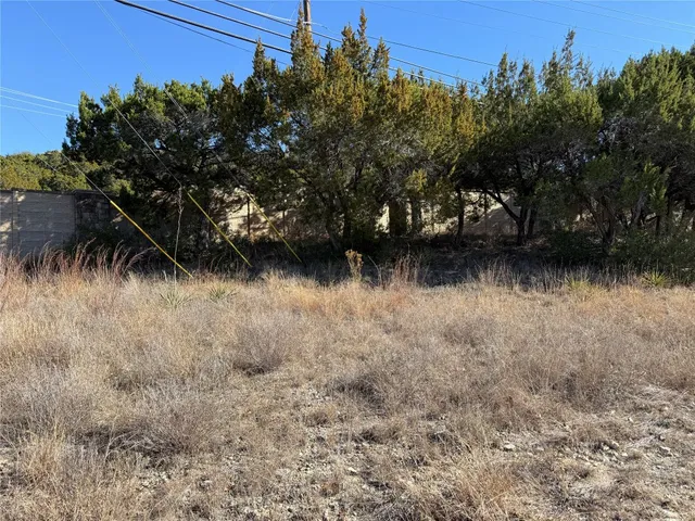 a view of a dry yard with trees