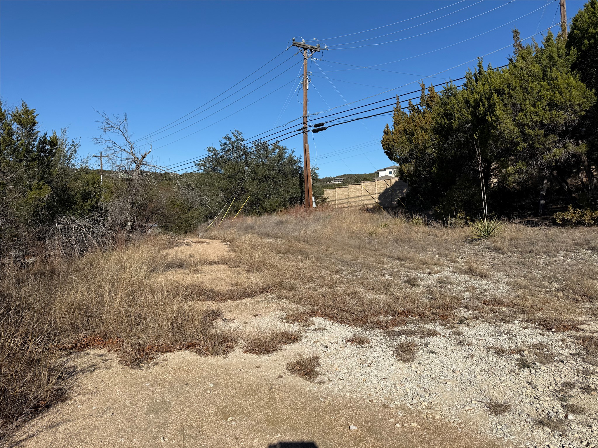 14410 Geronimo Street Leander, TX 78641 - Photo 6 of 14 a view of a dry yard with trees