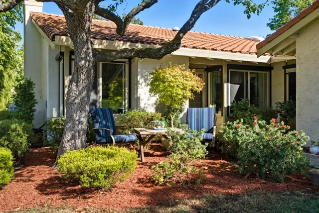 a view of a house with potted plants