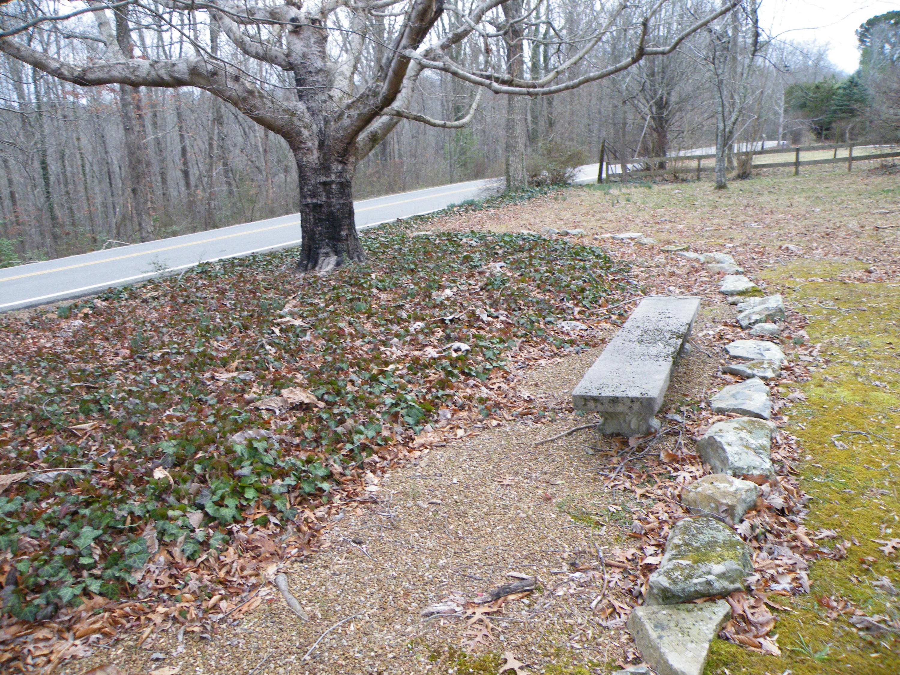 7007 Sawyer Road Signal Mountain, TN 37377 - Photo 2 of 30 DSCF7509