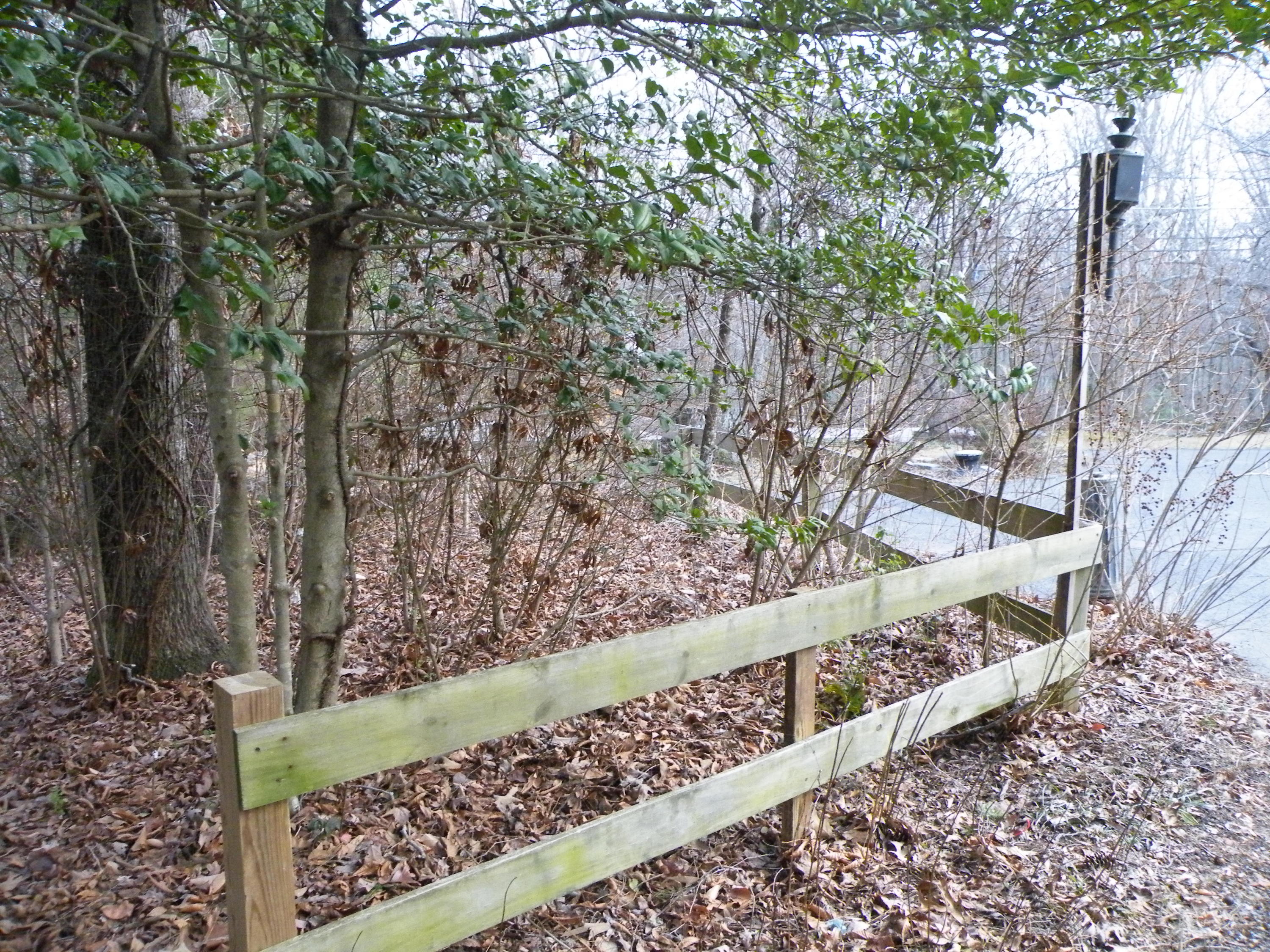 7007 Sawyer Road Signal Mountain, TN 37377 - Photo 13 of 30 DSCF7540