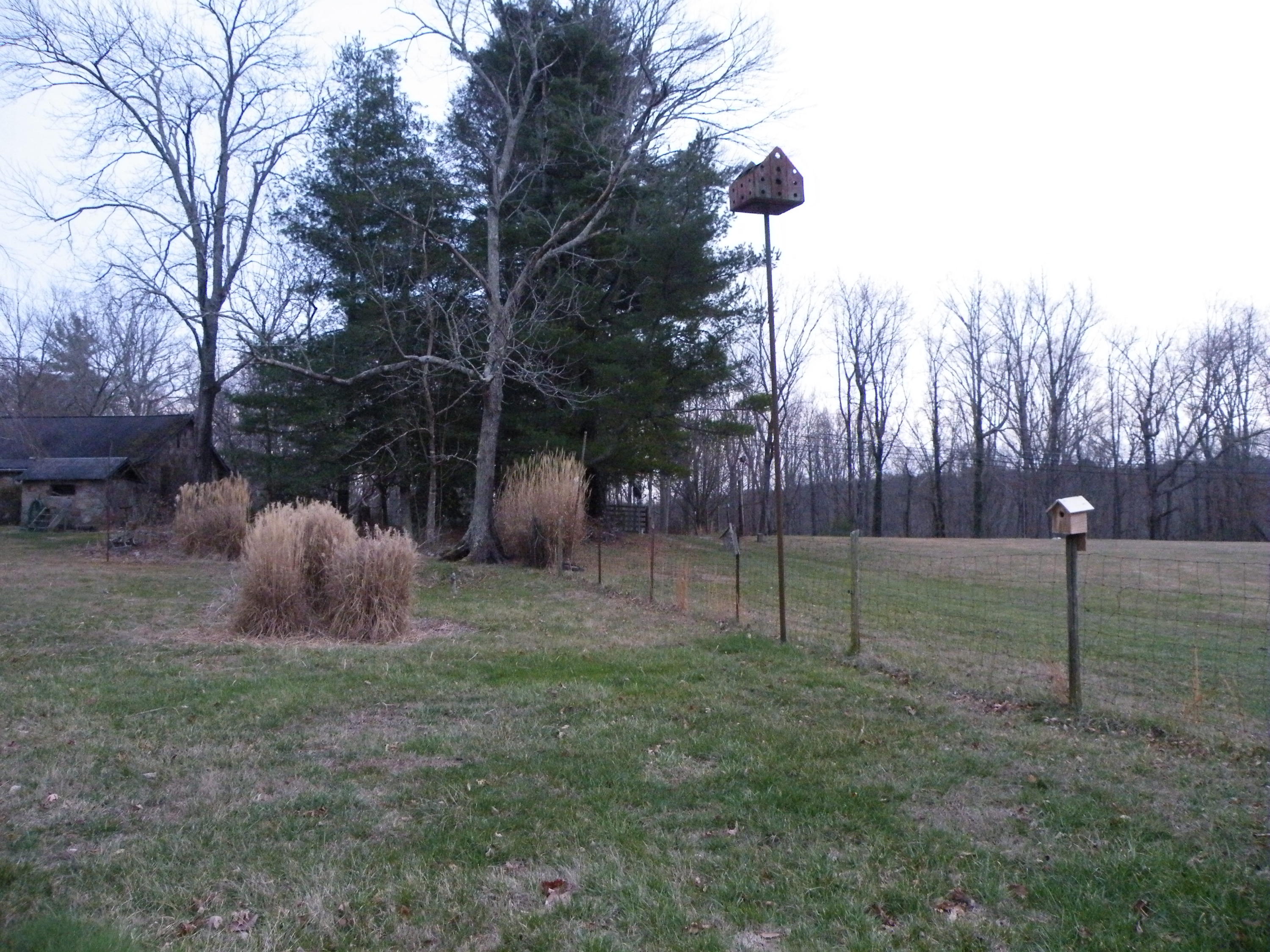 7007 Sawyer Road Signal Mountain, TN 37377 - Photo 19 of 30 DSCF7606