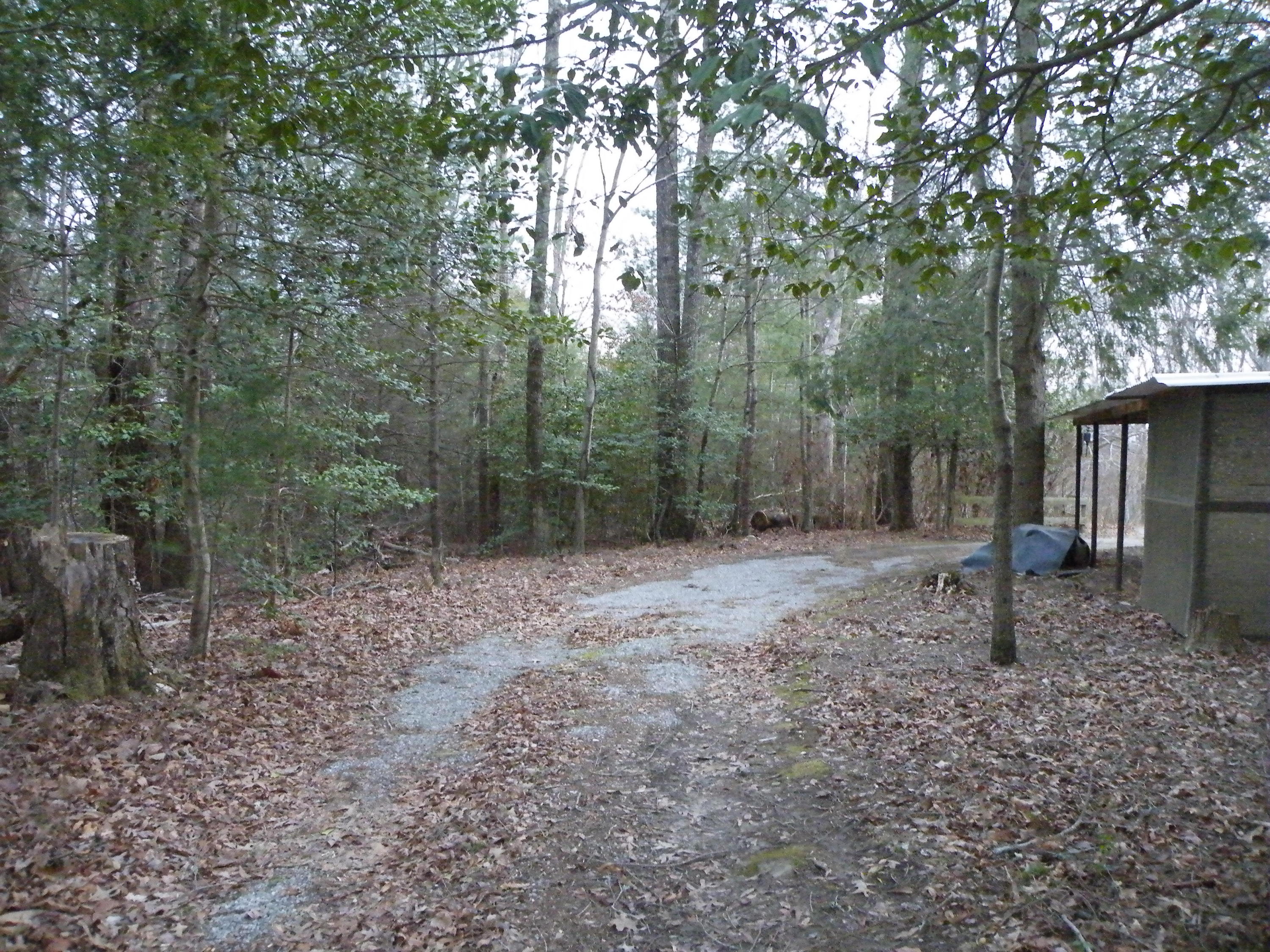 7007 Sawyer Road Signal Mountain, TN 37377 - Photo 26 of 30 DSCF7613