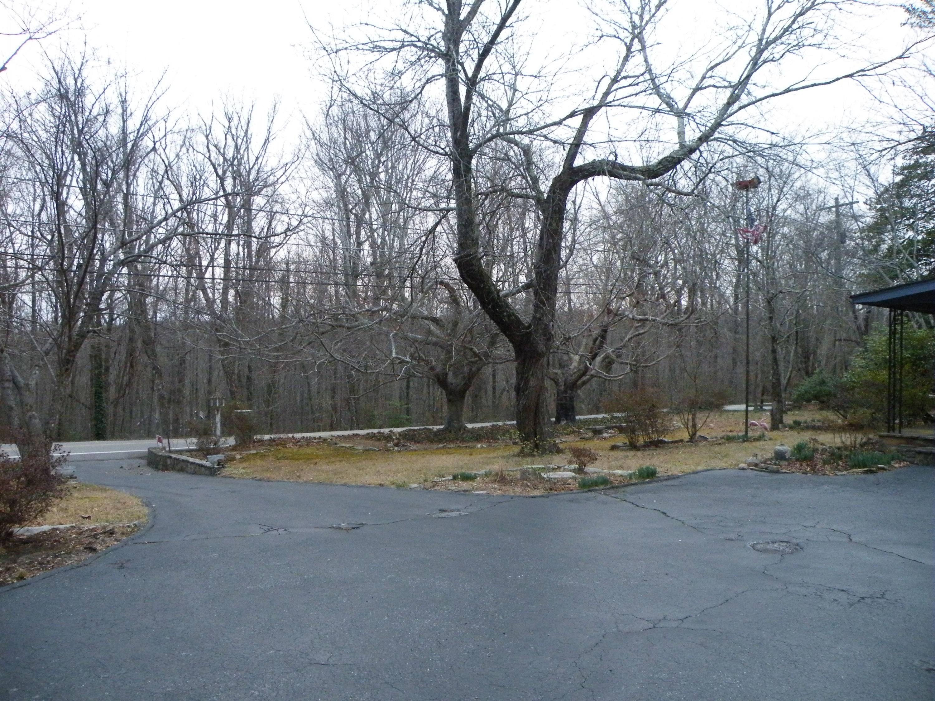 7007 Sawyer Road Signal Mountain, TN 37377 - Photo 29 of 30 DSCF7616