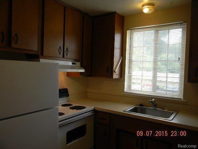 454 Romeo Road, Unit 213 Rochester, MI 48307 - Photo 2 of 5 DSCN3569.jpg