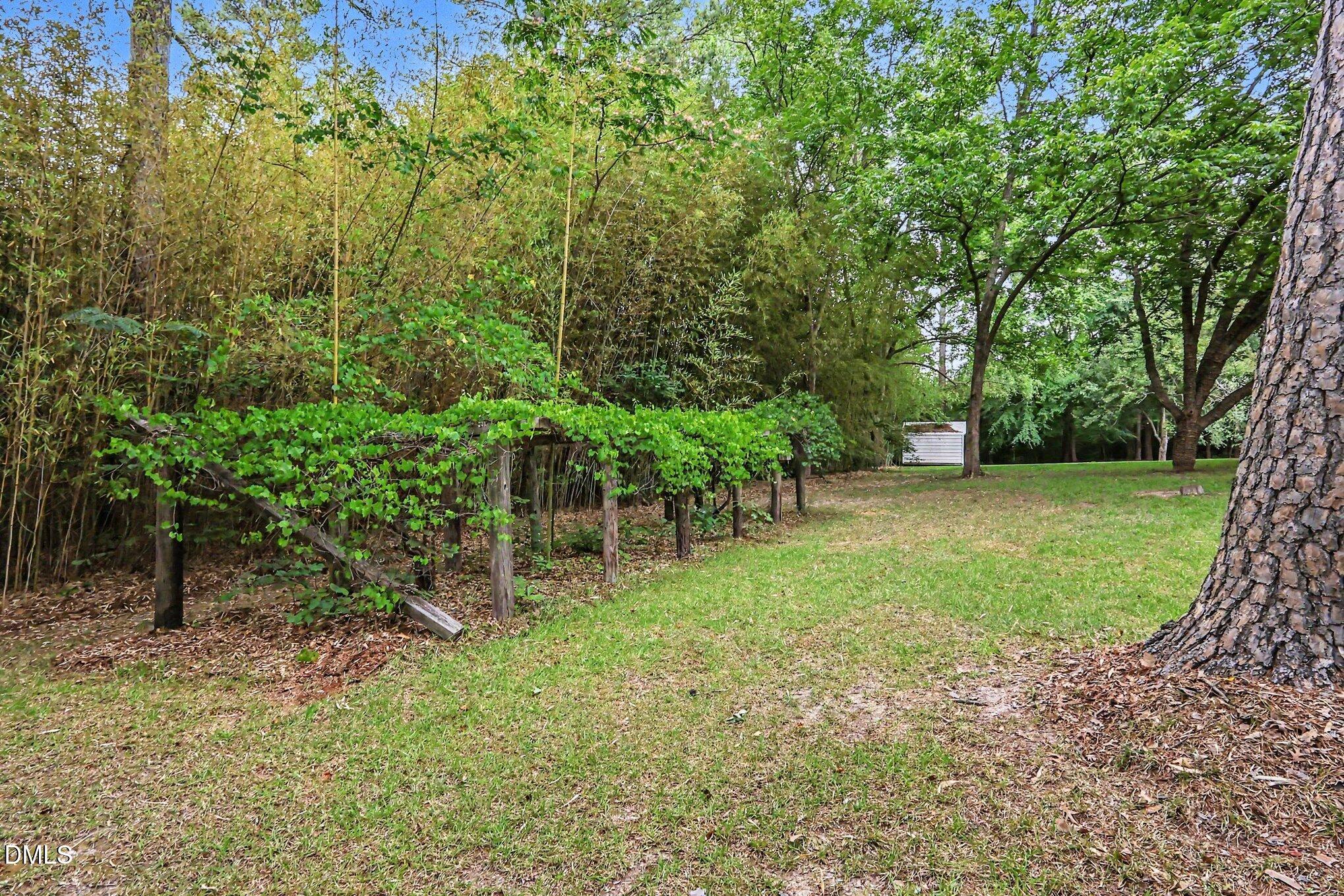 2555 Nutbush Road Henderson, NC 27537 - Photo 27 of 36