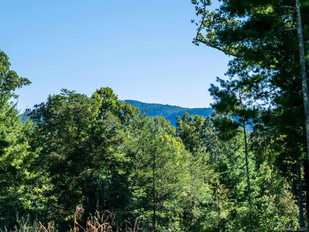 83 Harris Road Fairview, NC 28730 - Photo 29 of 48 Gallery Image 29