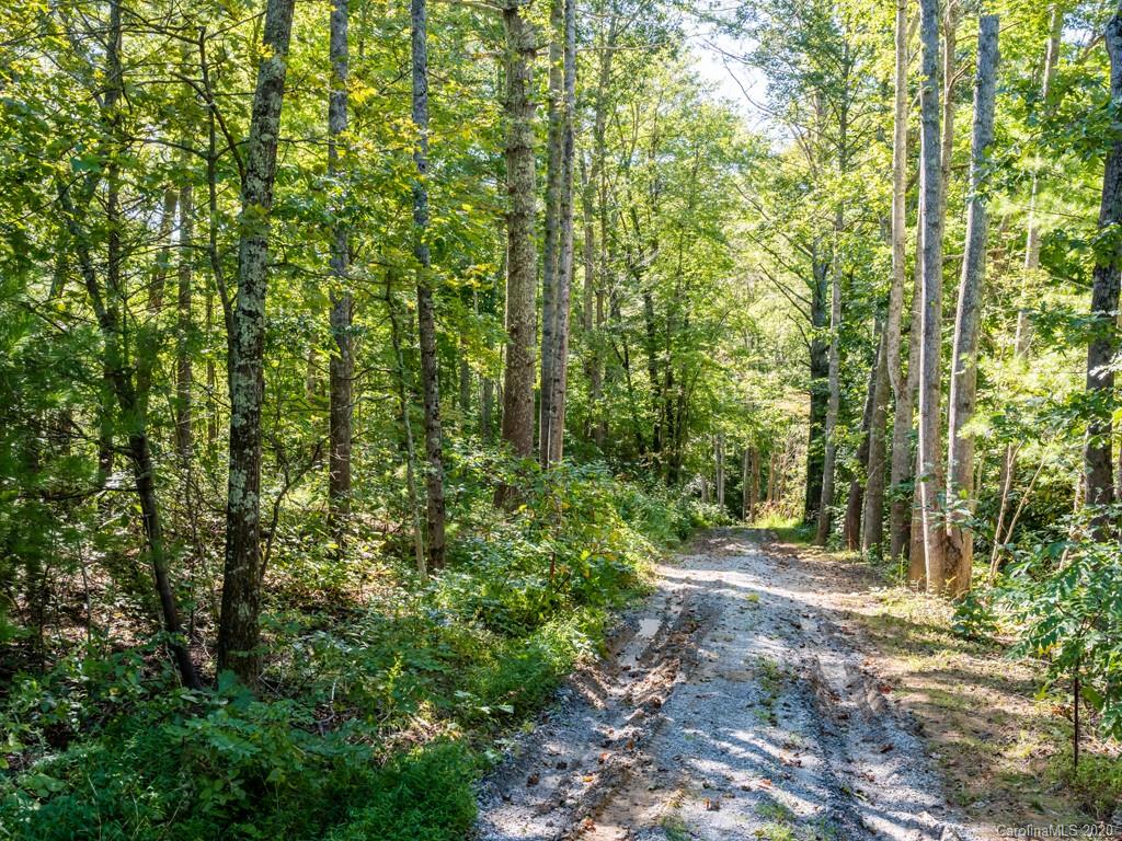 83 Harris Road Fairview, NC 28730 - Photo 32 of 48 Gallery Image 32