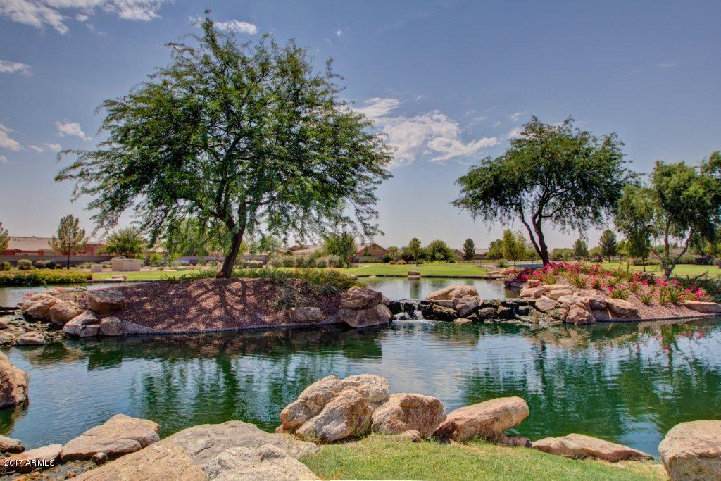 20320 North Goodman Road Maricopa, AZ 85138 - Photo 45 of 47 Province (27)