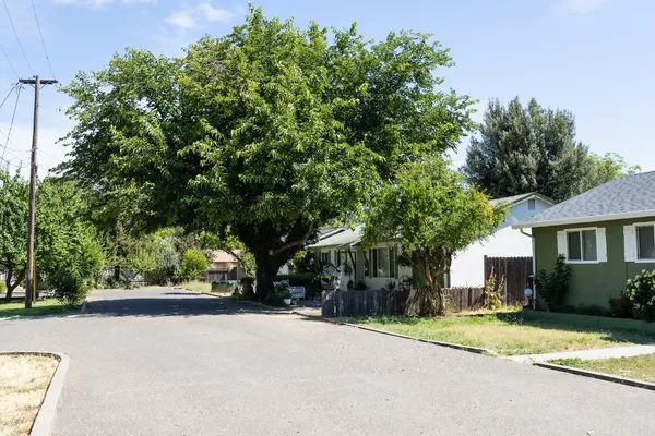 a view of a house with a tree and plants