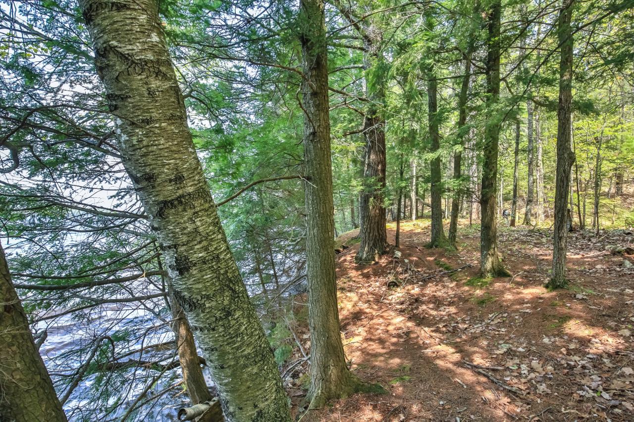 On Squirrel Lake Road, Unit LOT #1 Minocqua, WI 54548 - Photo 9 of 15 Gallery Image 9