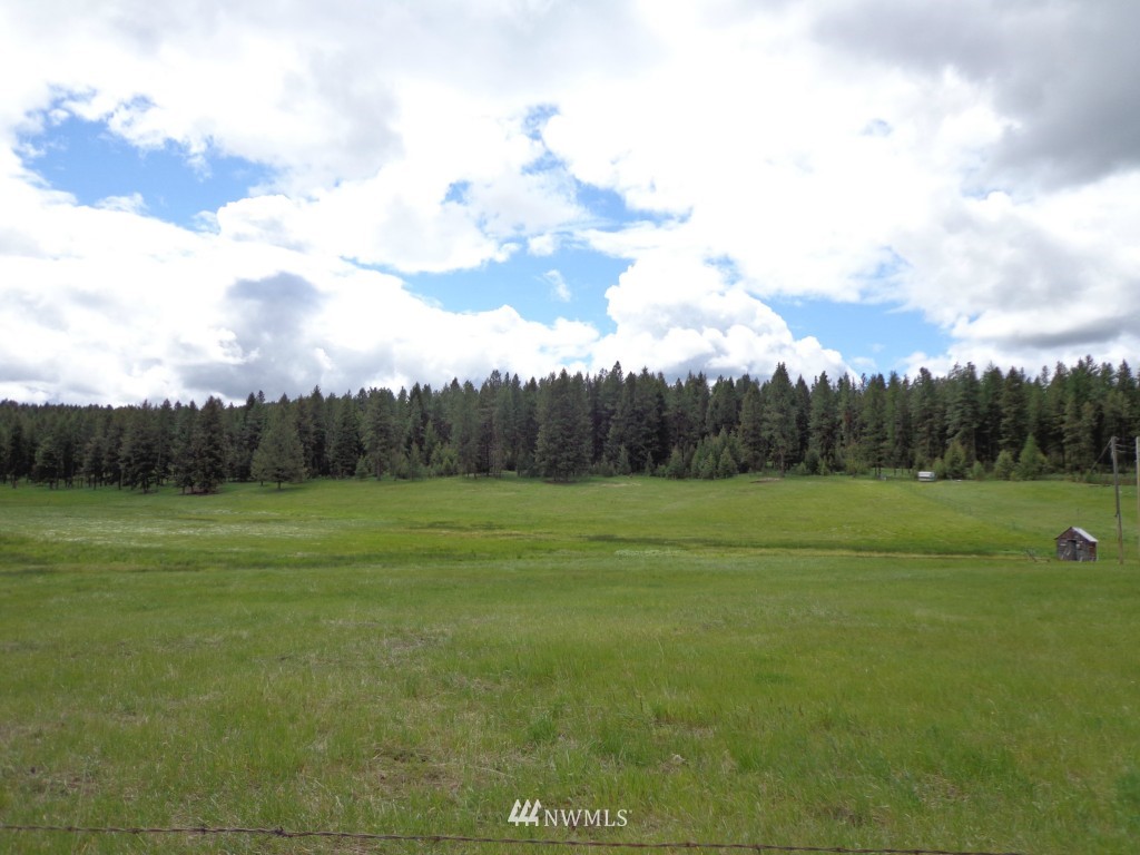 11 Grizzly Loop Road Republic, WA 99166 - Photo 3 of 7