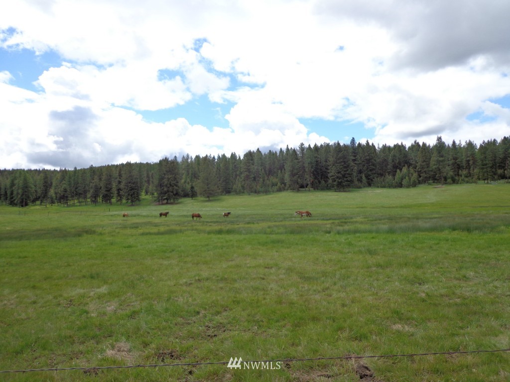 11 Grizzly Loop Road Republic, WA 99166 - Photo 4 of 7