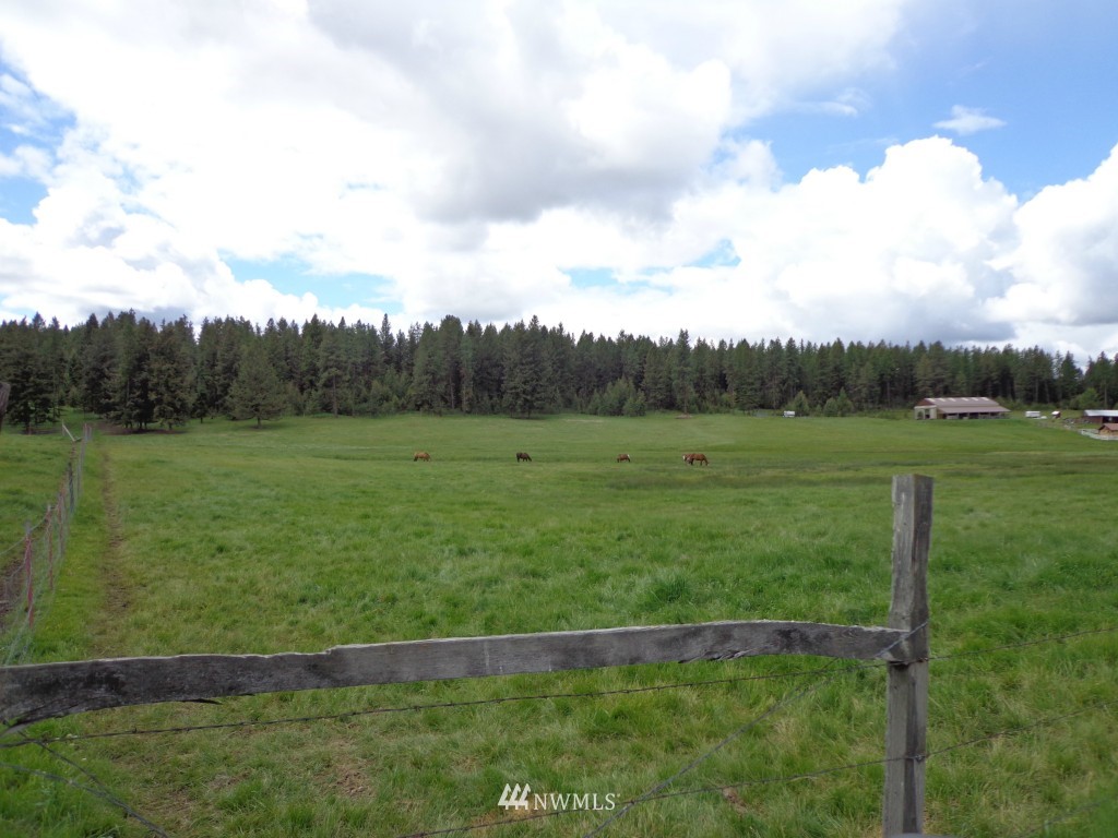 11 Grizzly Loop Road Republic, WA 99166 - Photo 5 of 7