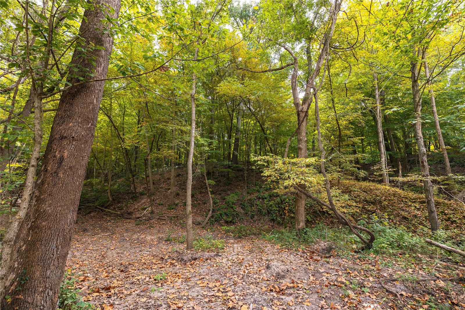 0 Infidel Hollow Road Nebo, IL 62355 - Photo 20 of 38 Gallery Image 20