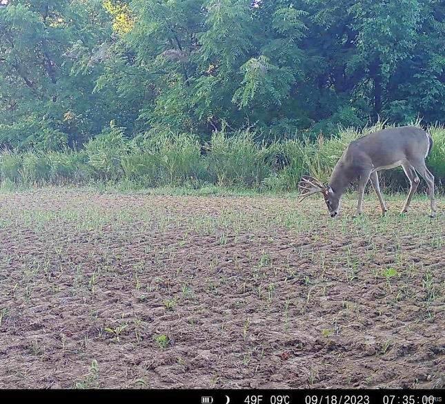 0 Infidel Hollow Road Nebo, IL 62355 - Photo 33 of 38 Gallery Image 33