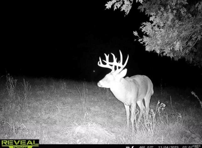 0 Infidel Hollow Road Nebo, IL 62355 - Photo 36 of 38 Gallery Image 36