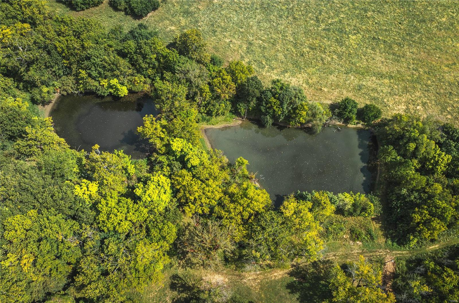0 Infidel Hollow Road Nebo, IL 62355 - Photo 6 of 38 Gallery Image 6