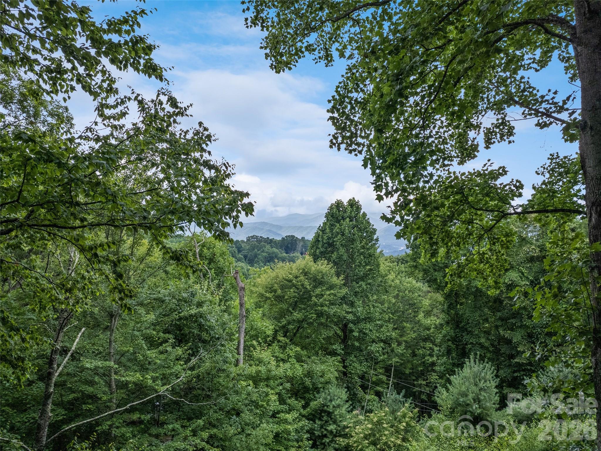 80 Merrie Way Waynesville, NC 28786 - Photo 29 of 48