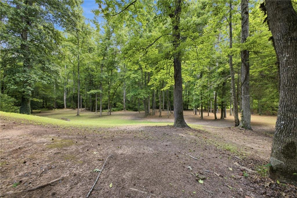 68 Country Creek Road White, GA 30184 - Photo 35 of 47