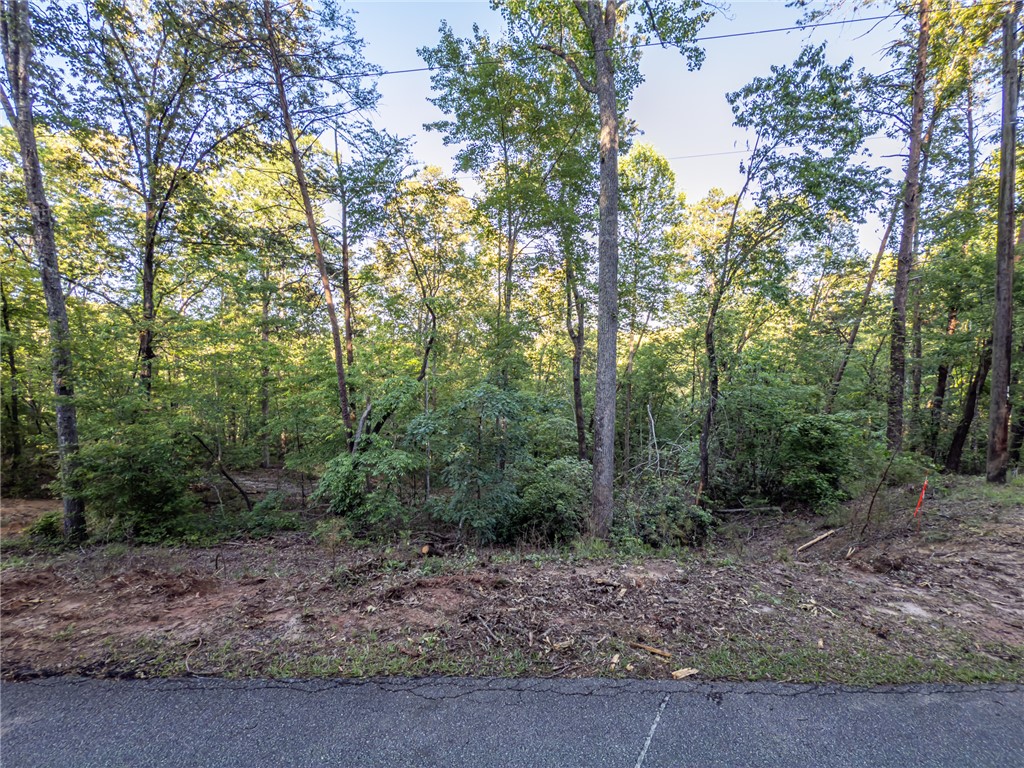Lot 23 Old Shallowford Bridge Road Sunset, SC 29685 - Photo 4 of 15