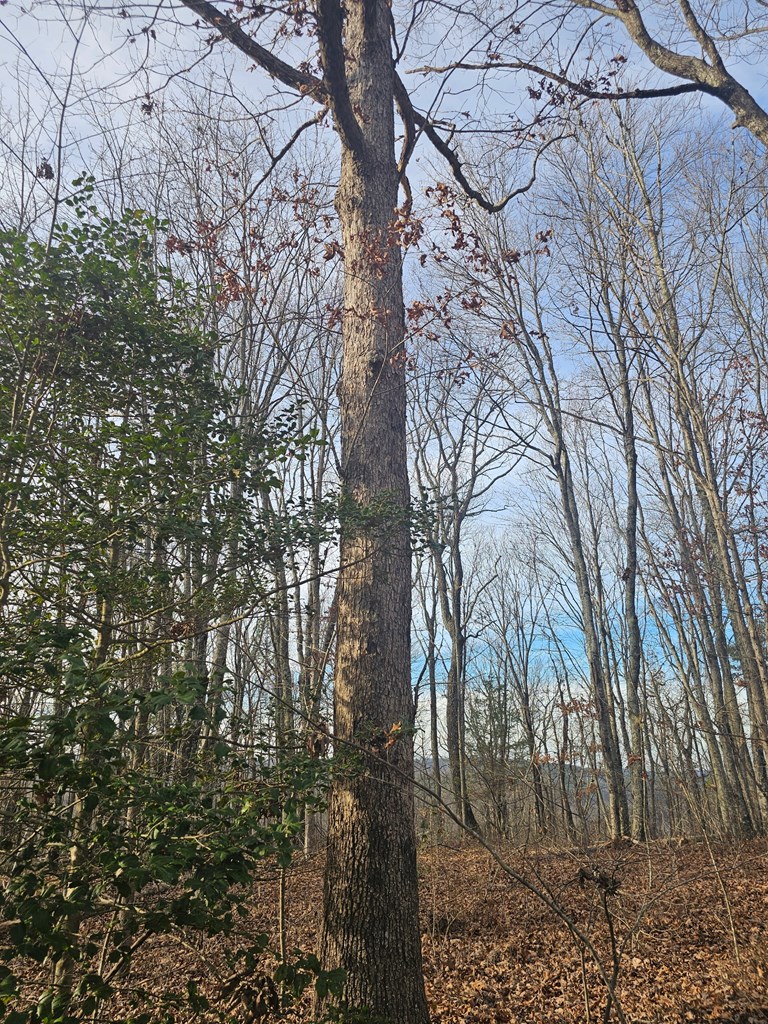 29003.0 Smith Mountain Road Dunlap, TN 37327 - Photo 2 of 11