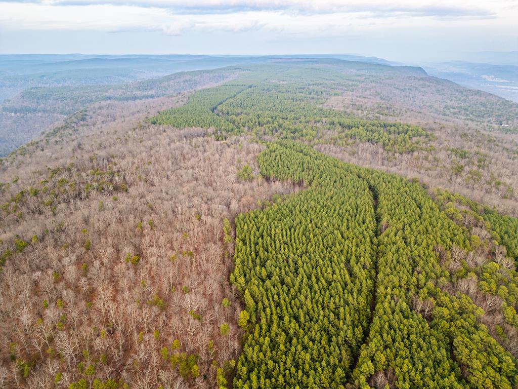 29003.0 Smith Mountain Road Dunlap, TN 37327 - Photo 23 of 43 a view of a field with an ocean