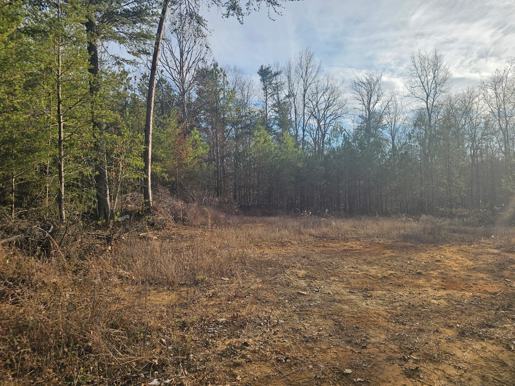 29003.0 Smith Mountain Road Dunlap, TN 37327 - Photo 3 of 11