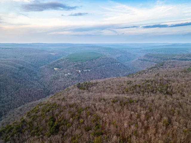 a view of city and mountain