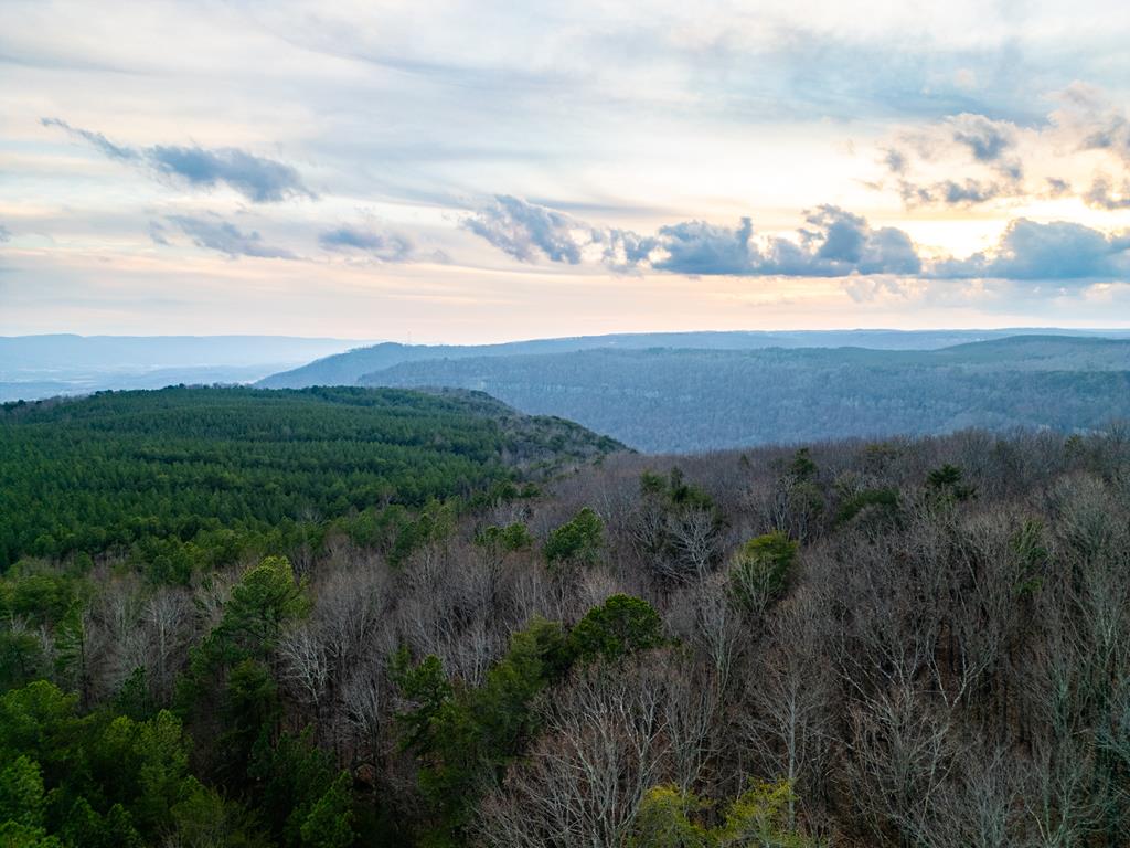 29003.0 Smith Mountain Road Dunlap, TN 37327 - Photo 43 of 43 a view of lake and mountain