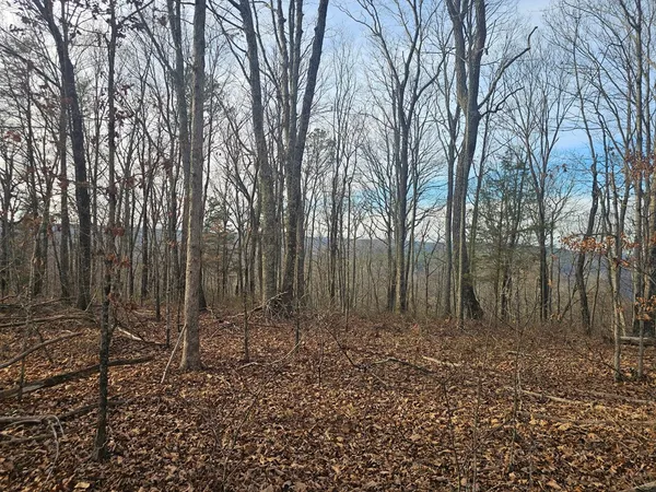 a view of outdoor space with lots of trees