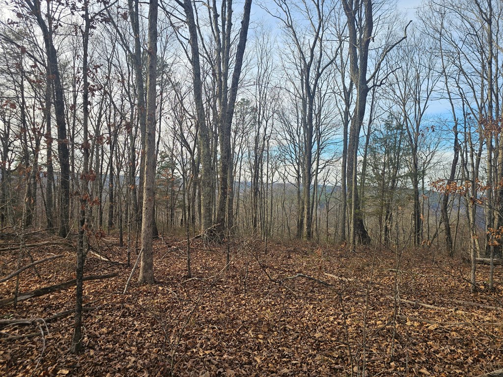 29003.0 Smith Mountain Road Dunlap, TN 37327 - Photo 8 of 11